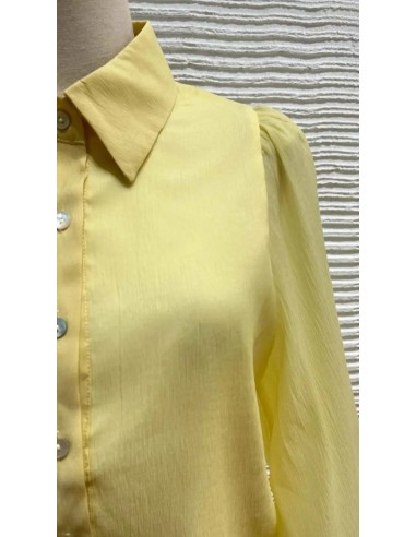 Camisa en gasa con botones y cuello camisero de manga larga abullonada. Forro interior.